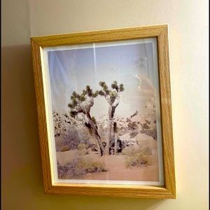 Joshua Tree framed print